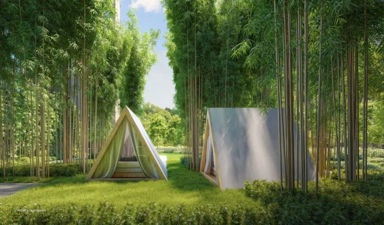 sora condo bamboo forest camping